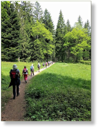 Wandergruppe Hedingen